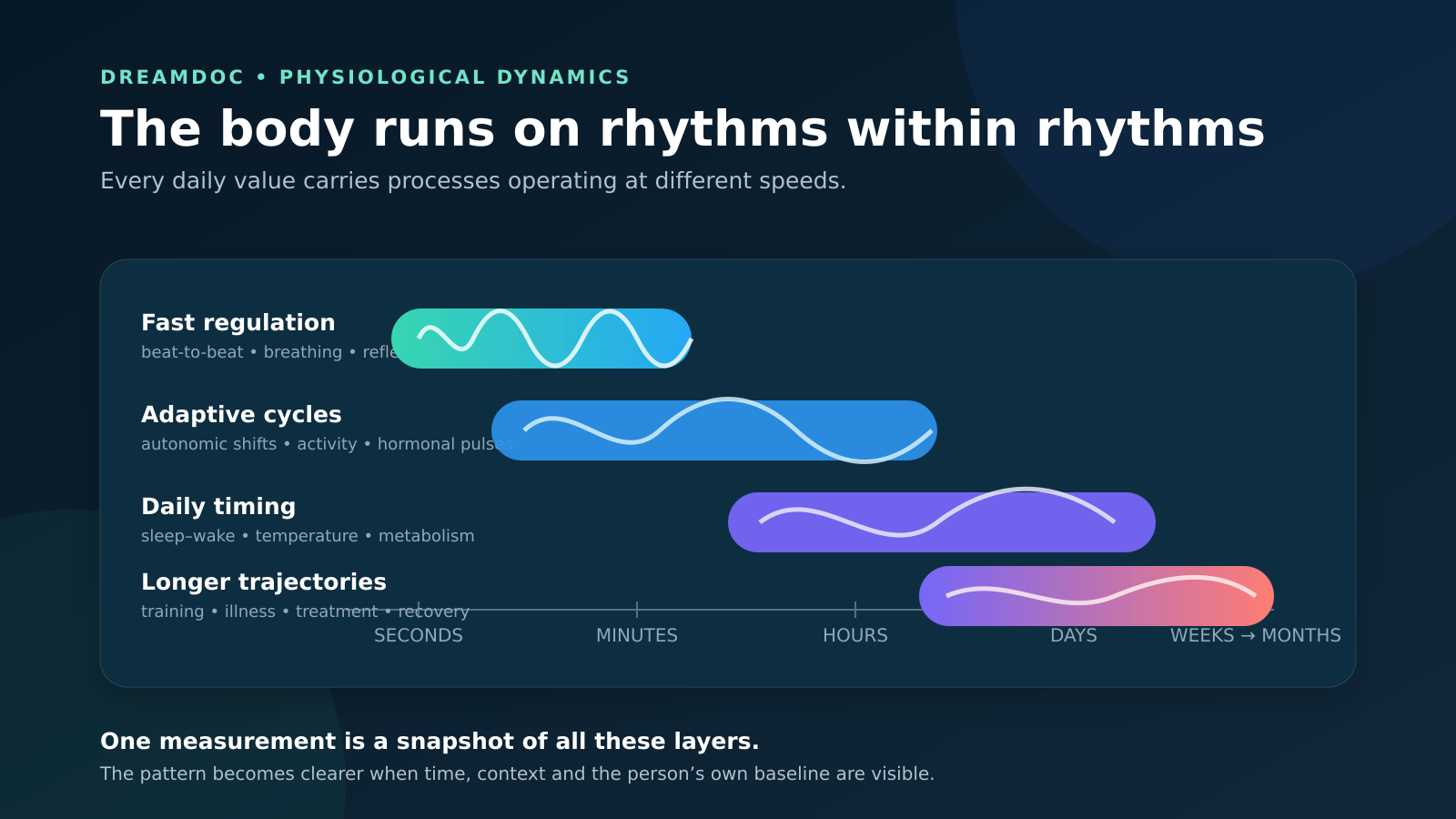 Physiological processes operate at overlapping timescales from seconds to months, including heartbeat, breathing, hormonal pulses, circadian rhythms, training, illness and recovery.